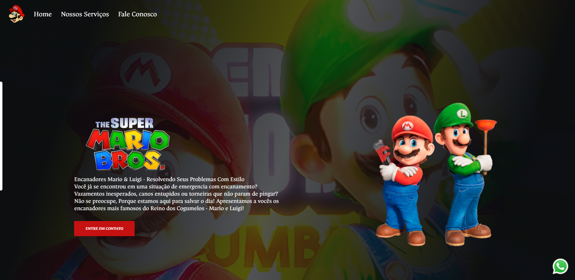 projeto-3